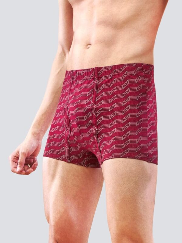 Lux Nitro Mini Printed Boxer 1pcs. | underwear